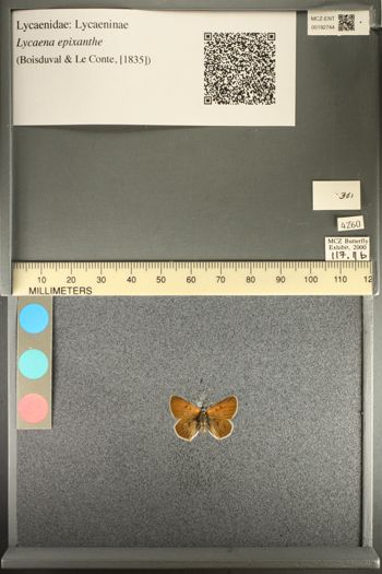 Media type: image;   Entomology 192744